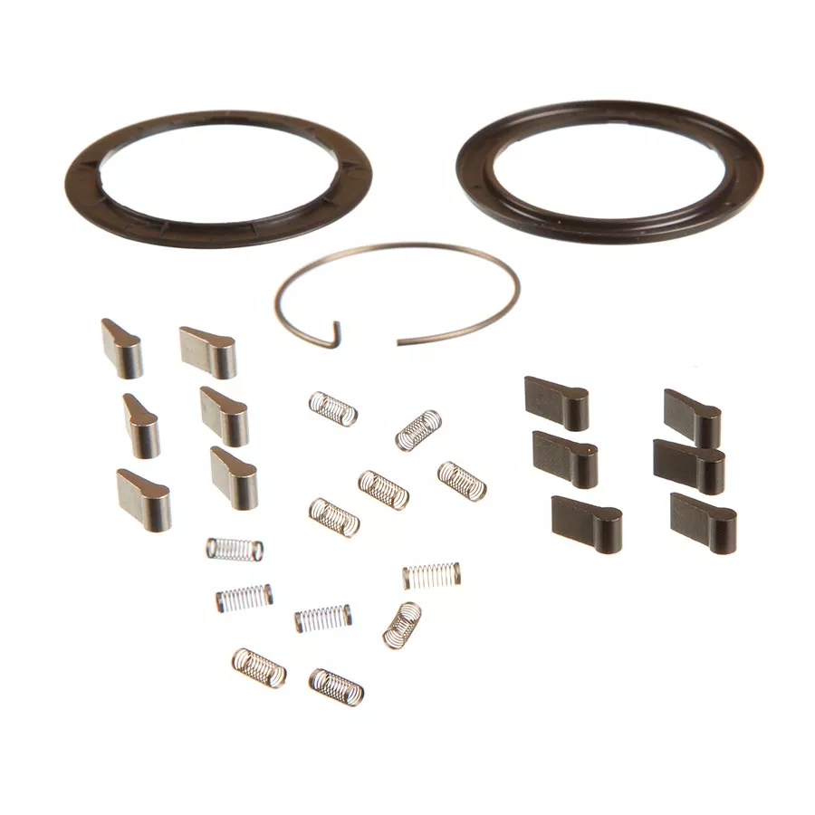 Zipp Spring and Pawl Set for ZM2 Set