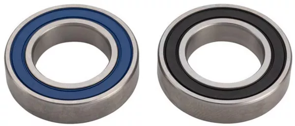 zippcognition-disc-beargins ZippCognition Disc Beargins